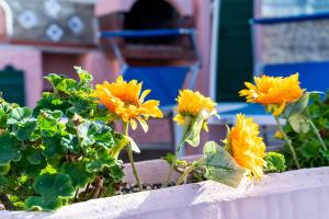 Casetta Bel Tramonto