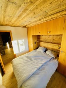 Fontanettaz V 007 - MOUNTAIN & VIEW apartment 8 pers