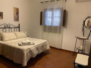 Finca olivar el pino