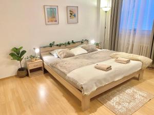 Apartment Simona - Old Town