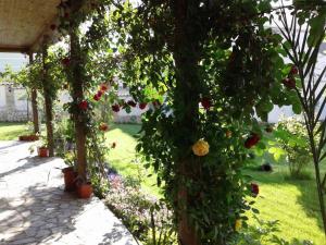 Todorovi Guest House