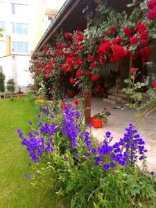 Todorovi Guest House