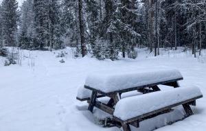 Stunning Home In Älvdalen With Sauna