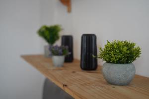 Modern spacious 6 bed in Central Plymouth with Parking