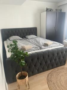 Saunallinen kolmio Tampereen ydinkeskustassa