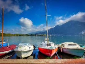 Studio rénové à Annecy avec terrasse, proche commerces et parking privé - FR-1-432-42