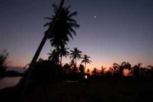 Golden Triangle River side Cabin