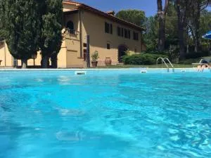 Talli Francesco - Casanova 2 - Nebbiano