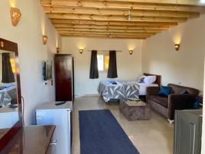 Dahab Smart Suite AC, Air fryer, & Bike