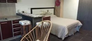 Los Manzanares, monoambiente - 百内三塔