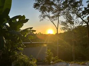 Modern House with Jungle Sunset View - Santiago