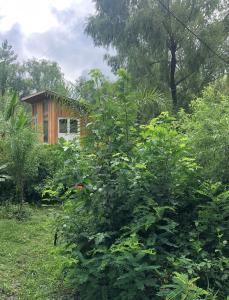 la casa en el rio con viaje en lancha