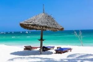 Island Penthouse - Ocean View