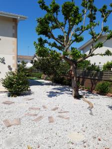 Maisons de vacances Maison confort entre Bassin et Ocean : photos des chambres