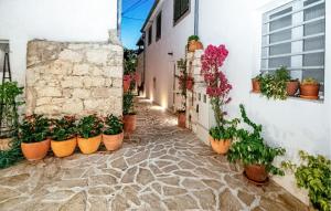 Lovely Apartment In Pakostane With Wifi