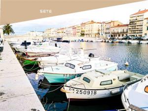 La coquille - terrasse et climatisation en centre ville - gare Saint Roch