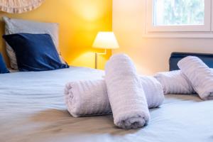 Appartements Bel Apt Terrasse a 2 pas du Lac : photos des chambres