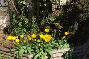 Appartements Gtes aux Portes de lEure Les Tournesols : photos des chambres