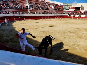 Appartements Magnifique logement d'architecte 3* sur Palavas : photos des chambres