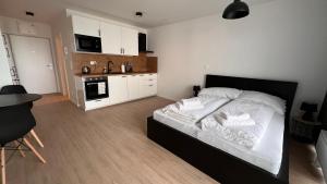 1 room Apartment with terrace, new building 55