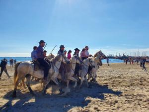 Appartements Magnifique logement d'architecte 3* sur Palavas : photos des chambres