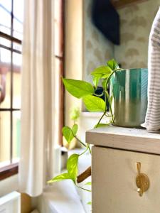 Residenza della Corticella