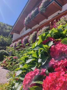 Gästehaus Oslhof Ferienwohnungen