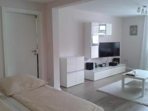Executive One-Bedroom Apartment room in Allgäu Apartment