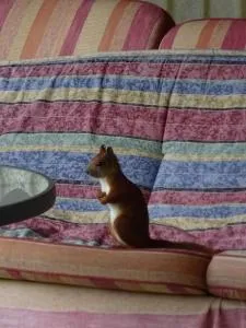 Flämingpanorama - Ländliches Gartenhaus mit Kamin und Naturpanorama - Niemegk