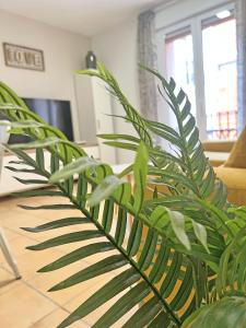 Puro Centro. 500m del mar. AC