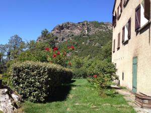 Sejours a la campagne E Pezzole : photos des chambres