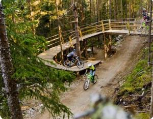 Lisa Lodge i Järvsö Ski and bike in and out