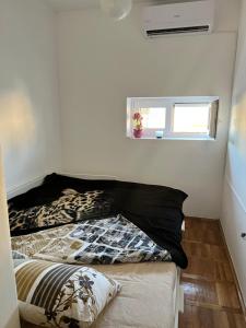 City Center Square DeLuxe Nest