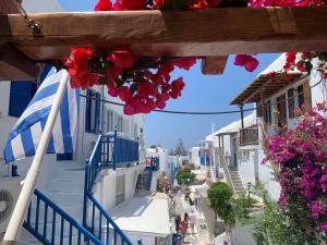 Cycladic House