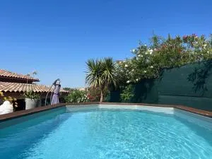 Les oliviers Puisserguier - Puisserguier