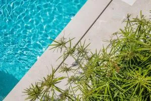 VILLA ROKO VINTAGE - 德朗西斯