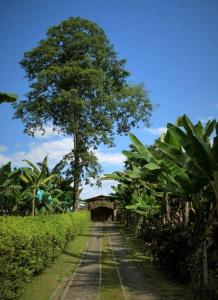 Alojamiento el Recuerdo