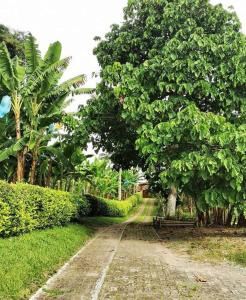 Alojamiento el Recuerdo