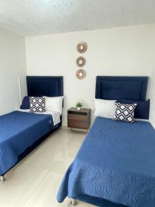 Suites Jacarandas 203