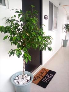 Come to Paradise an be our Guest in Dream Cancun!!