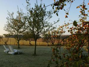 Gîte rénové au calme avec jardin clos à Boissets - FR-1-527-46