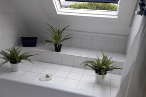 BRIGHT AND QUIET APARTMENT 5 MNS FROM THE BEACH