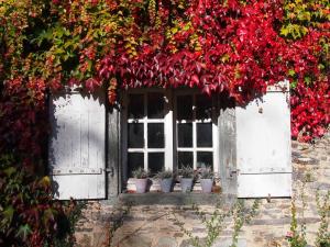 B&B / Chambres d'hotes Manoir de Pommery : photos des chambres