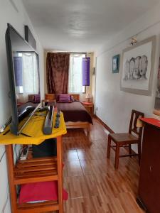 Departamento privado artístico