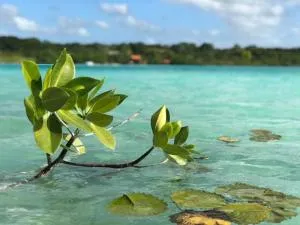 Villa Azul Xulha - Xul-Ha