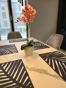 Regatta Park 2BR Exclusive Suite Parking Included