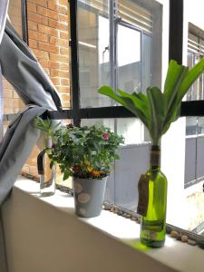 Suns spacious apartment