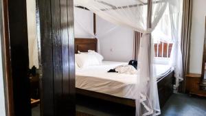 The Ivy House Mirissa