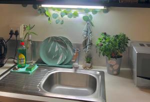 Suns spacious apartment