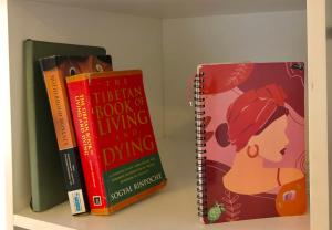 Suns spacious apartment